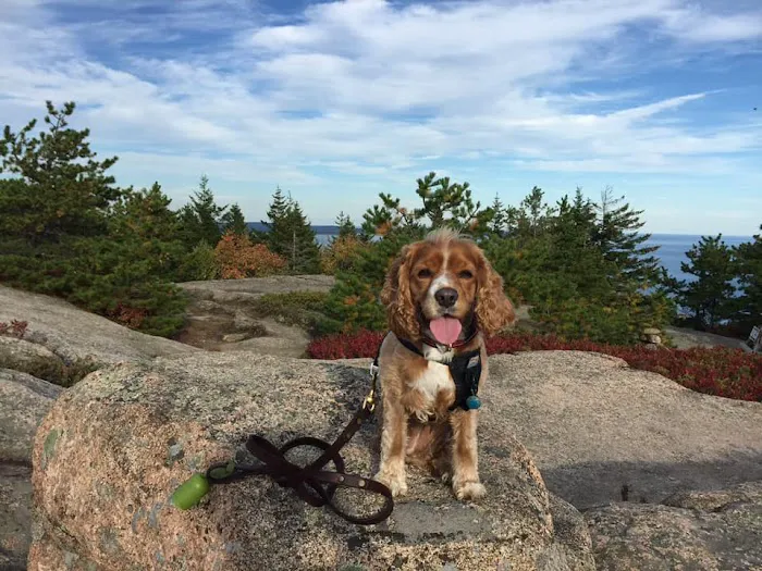 Highland Veterinary Clinic Picture 2