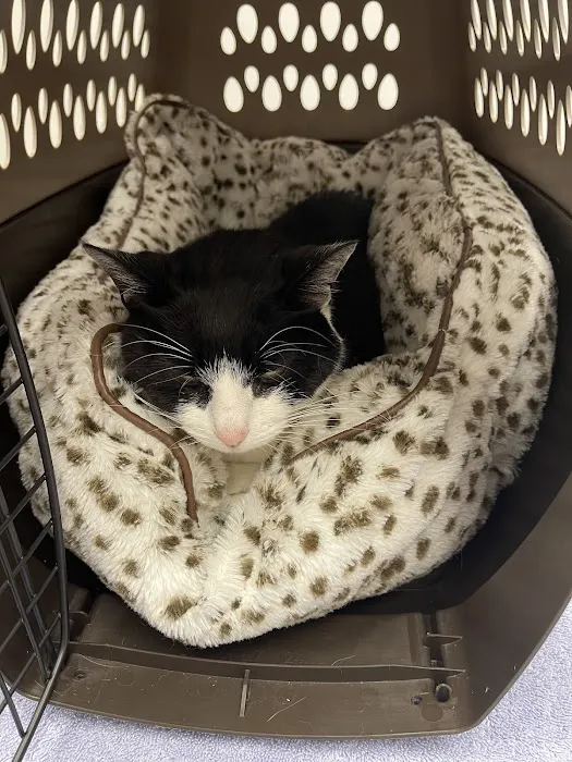 Highland Veterinary Clinic Picture 4