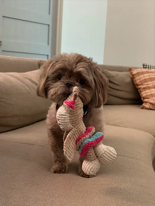 Highland Veterinary Clinic Picture 9