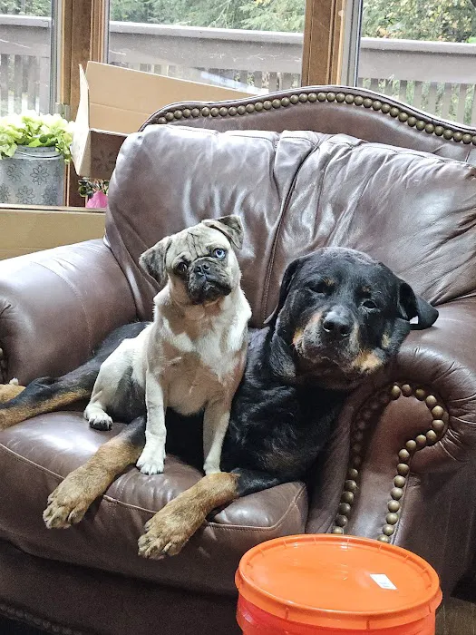 Highland Veterinary Clinic Picture 7