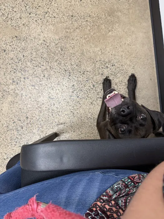 Highland Veterinary Clinic Picture 10