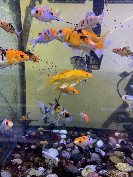 Pet and Feed Store Picture 3