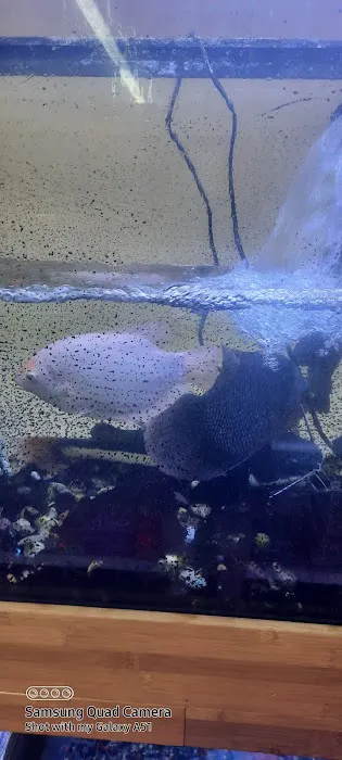 Pet and Feed Store Picture 6