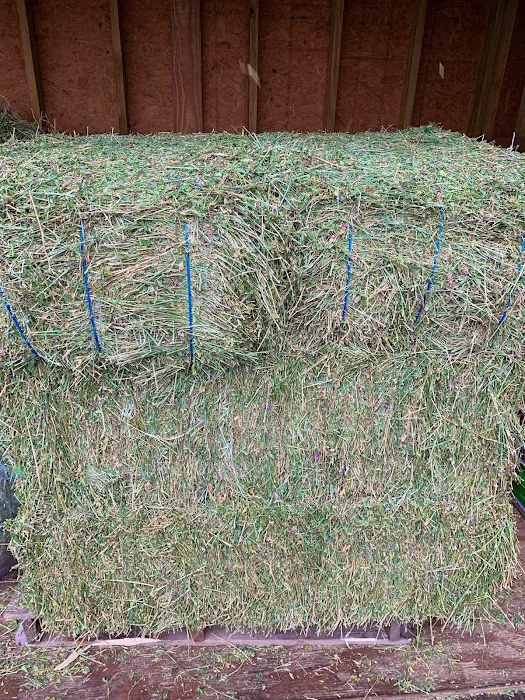 Pet and Feed Store Picture 10