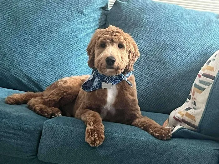 Friends for Life Veterinary Care Picture 1