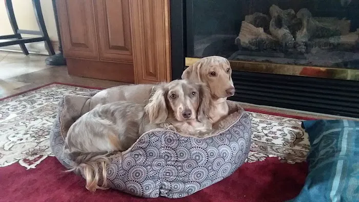 Friends for Life Veterinary Care Picture 5