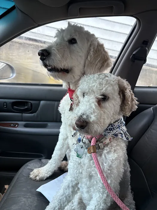 Friends for Life Veterinary Care Picture 10
