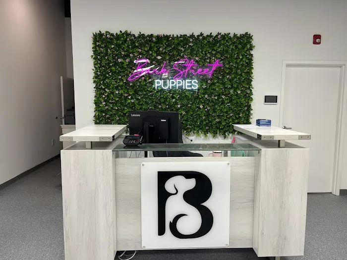 Bark Street Puppies Picture 1