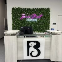 Bark Street Puppies ico