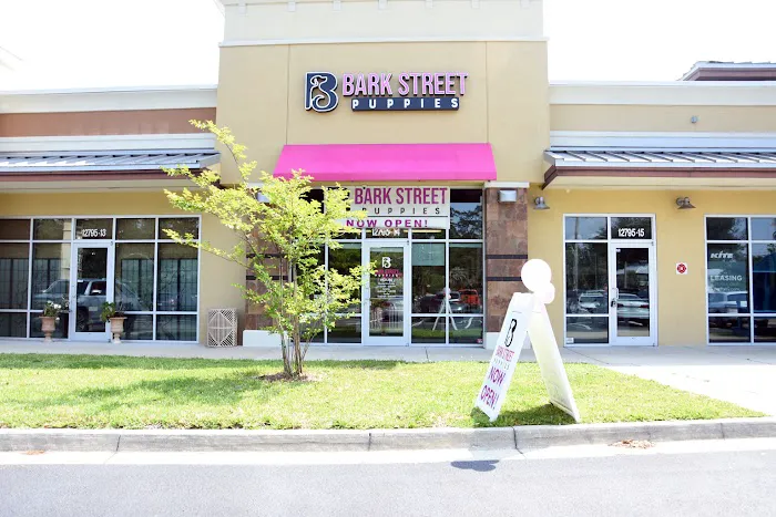 Bark Street Puppies Picture 2