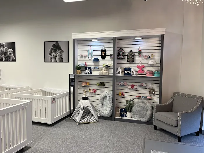 Bark Street Puppies Picture 3