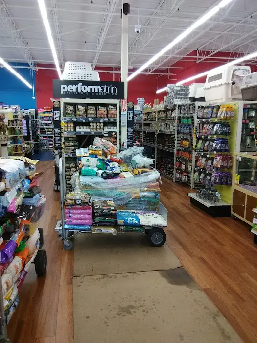 Pet Supermarket Picture 3