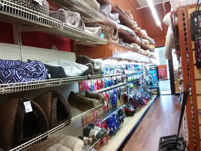 Pet Supermarket Picture 1