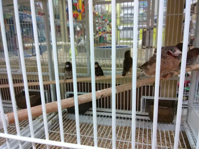 Pet Supermarket Picture 9