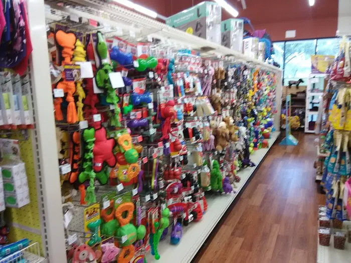 Pet Supermarket Picture 10