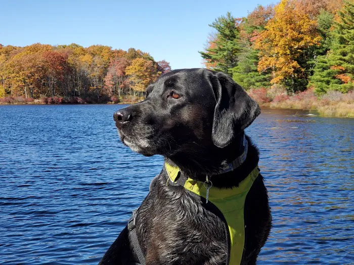 Buffalo & Beyond Veterinary Services Picture 6