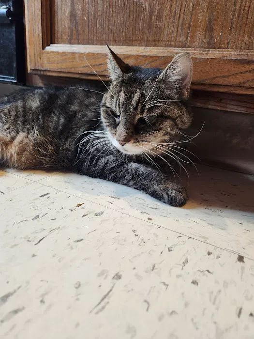 Buffalo & Beyond Veterinary Services Picture 2