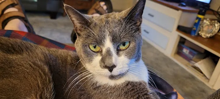 Buffalo & Beyond Veterinary Services Picture 8