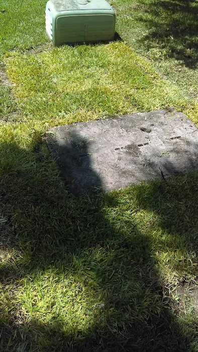 Ocean Floor Aquariums Inc Picture 4