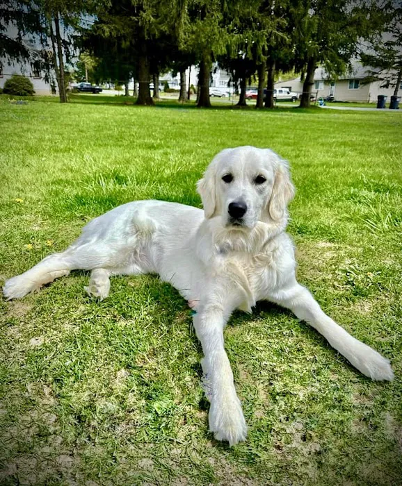 Hamlin Veterinary Clinic Picture 1