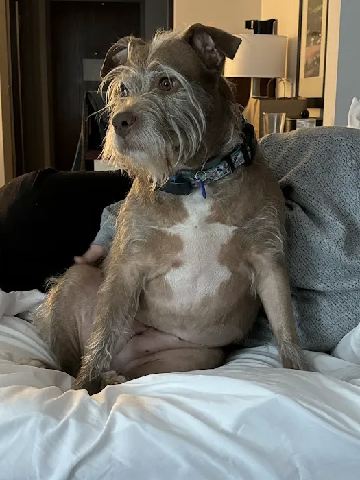 Hamlin Veterinary Clinic Picture 2