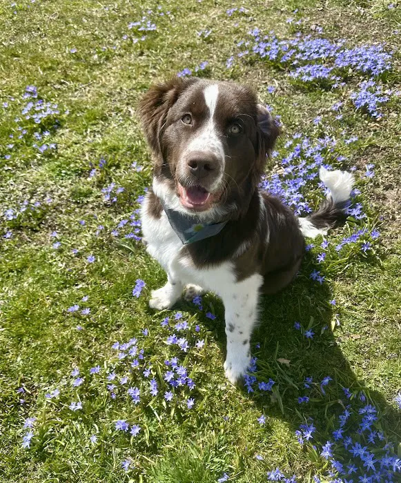 Hamlin Veterinary Clinic Picture 5