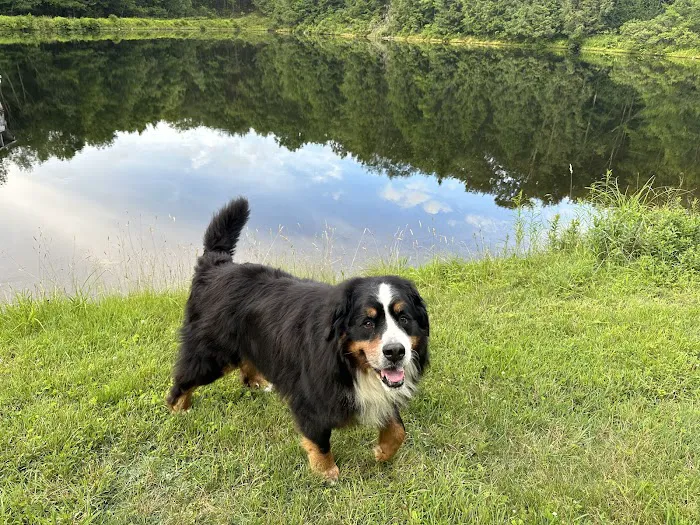 Hamlin Veterinary Clinic Picture 4