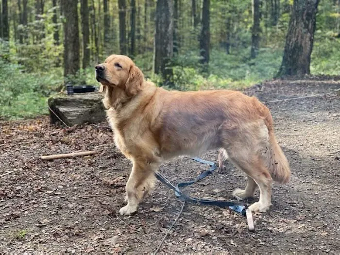 Hamlin Veterinary Clinic Picture 6