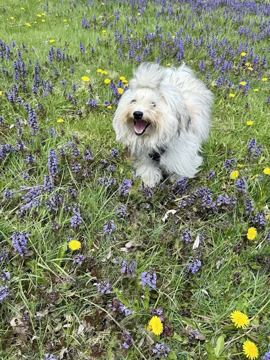 Hamlin Veterinary Clinic Picture 9