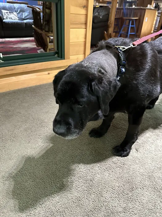 Hamlin Veterinary Clinic Picture 10