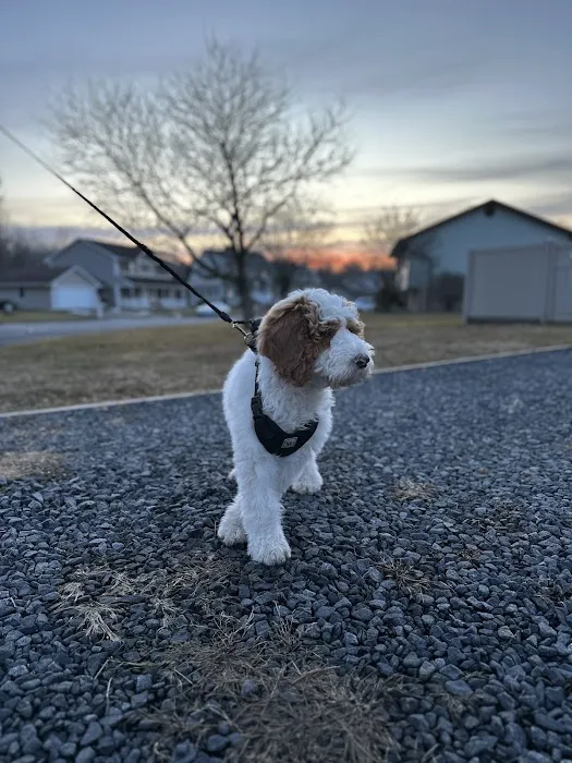 Hamlin Veterinary Clinic Picture 7