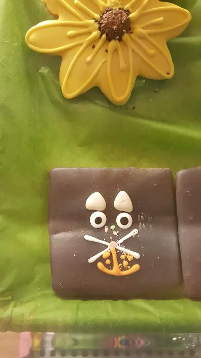 Earth Pets Natural Pet Market Jacksonville Picture 2