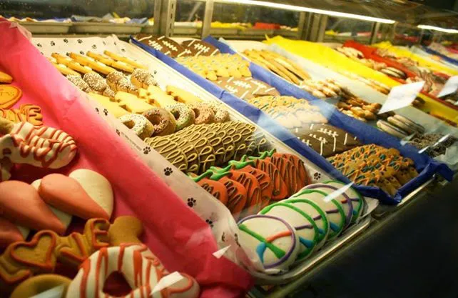 Earth Pets Natural Pet Market Jacksonville Picture 4