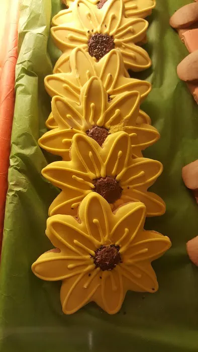 Earth Pets Natural Pet Market Jacksonville Picture 9