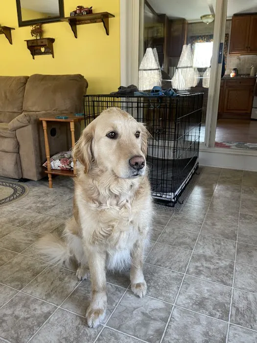 PetVet Vaccination Clinic Picture 2