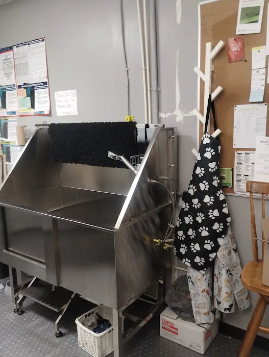 M&M Pet Feed Store and landscape supplies Picture 7