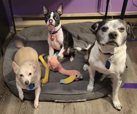 Canadensis Veterinary Clinic