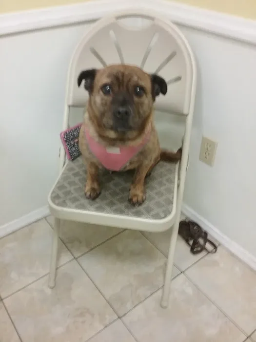 Canadensis Veterinary Clinic Picture 5
