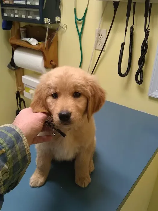 Canadensis Veterinary Clinic Picture 7