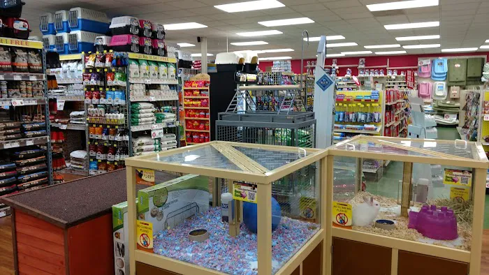 Pet Supermarket Picture 2
