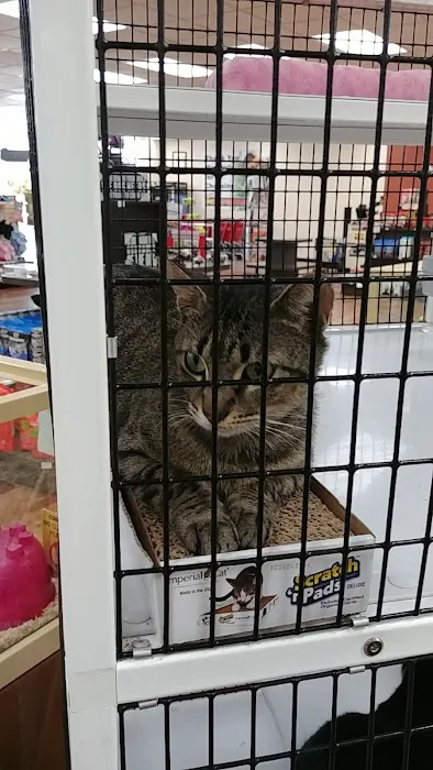 Pet Supermarket Picture 9