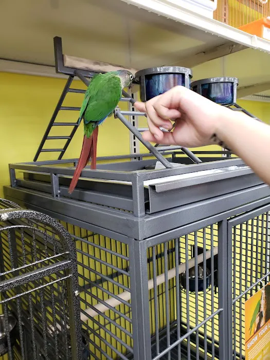 Pet Supermarket Picture 7