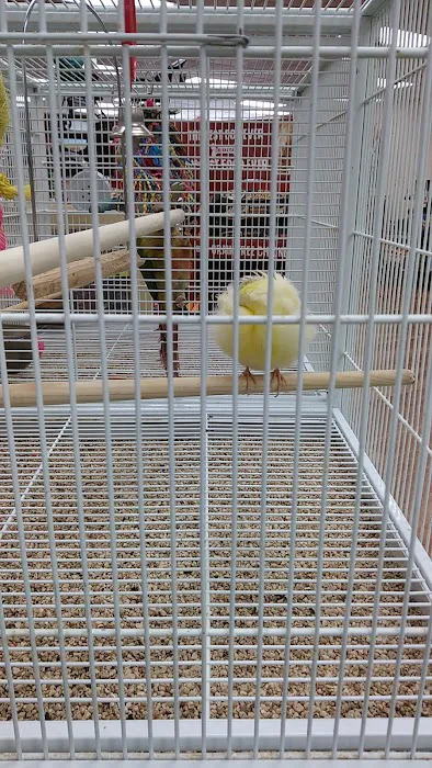 Pet Supermarket Picture 10