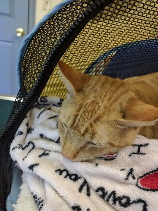 Carbondale Veterinary Hospital Picture 1