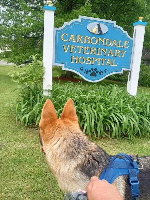Carbondale Veterinary Hospital Picture 6