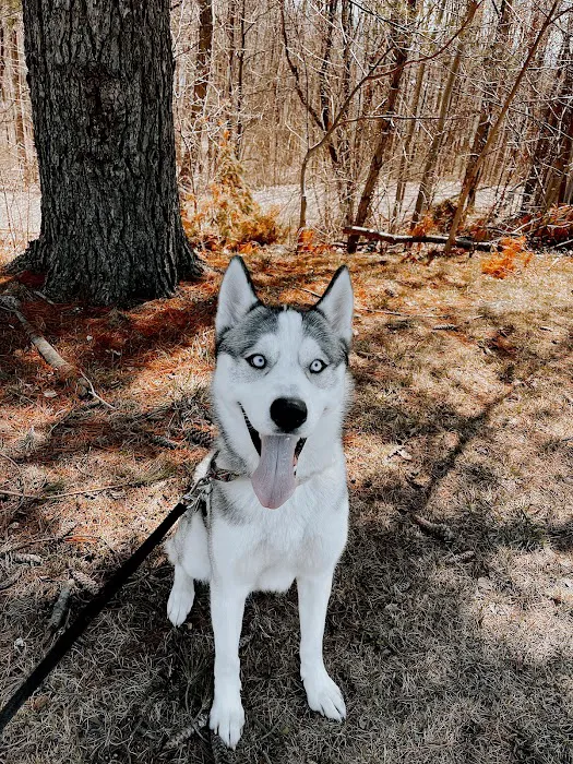 Carbondale Veterinary Hospital Picture 4