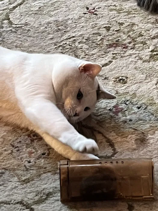 Carbondale Veterinary Hospital Picture 5