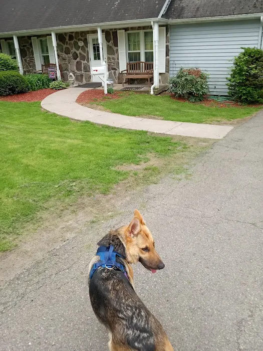 Carbondale Veterinary Hospital Picture 8