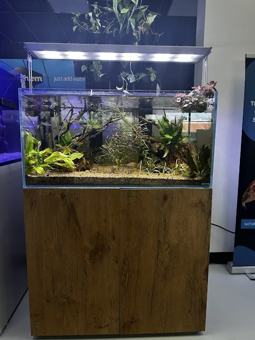 Natural Environment Aquatix Picture 3