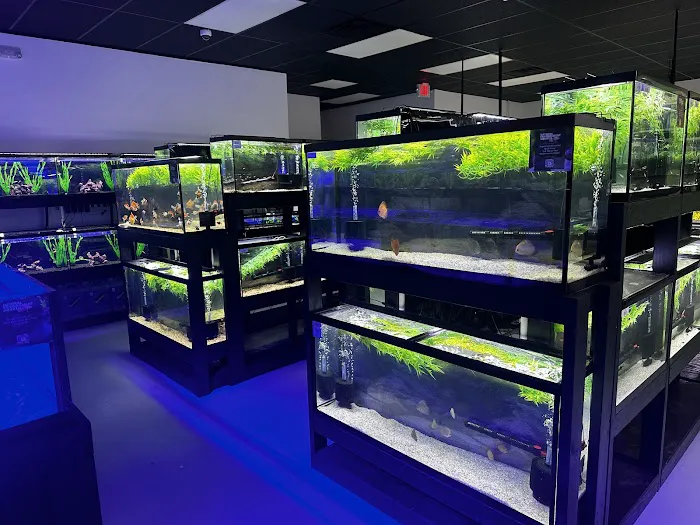 Natural Environment Aquatix Picture 1